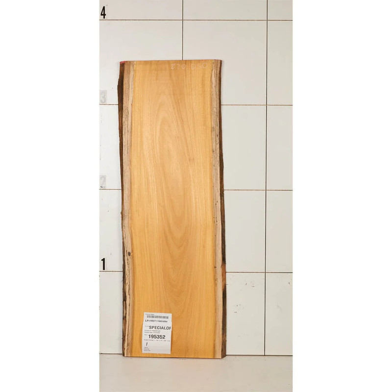 Osage Orange Slab - Thickness:1-1/4" - Width:14-3/4" - Length:42"